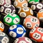 Nuôi lô bạch thủ khung 4 ngày